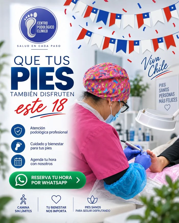 Pieza Viva Chile